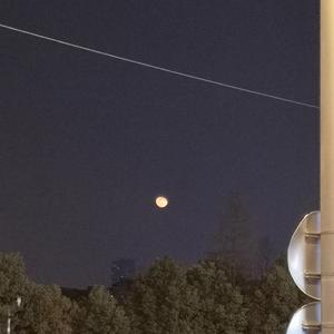 免费一级特黄录像
